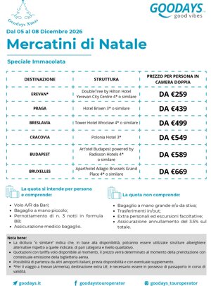 mercatini%20di%20natale%202026%20(1)_compressed_page-0001.jpeg