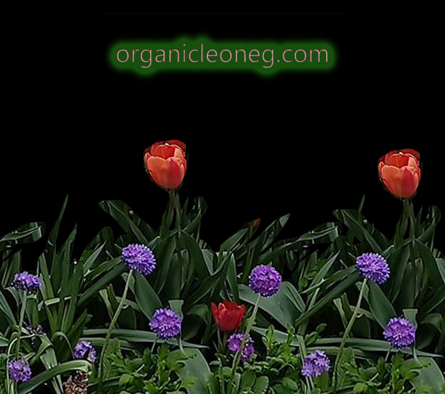 620af953-0a70-4221-8687-7242faea35fb