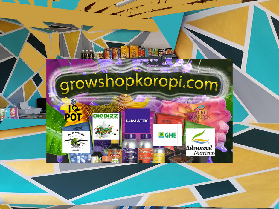 8f3df3ac-e6ef-4c33-8b70-3d0e9013b3cd