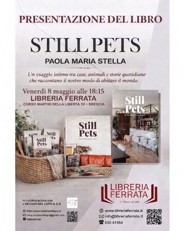 stella ig.jpeg