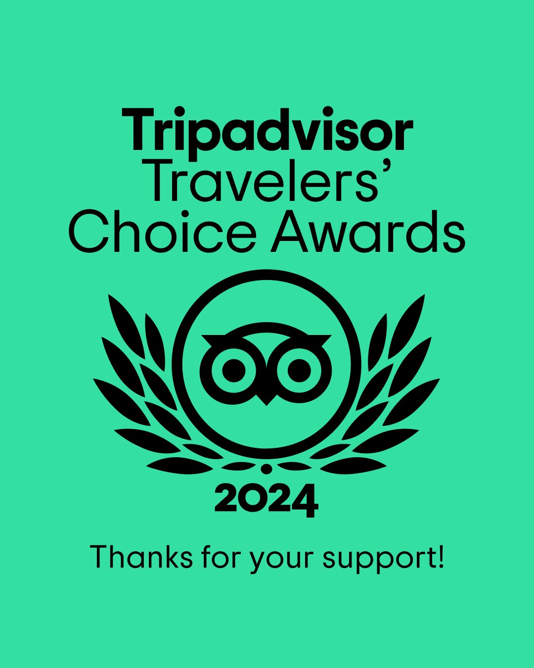 Vincitori del premio Travellers' Choice 2024 Vincitori del premio Travellers' Choice 2024
