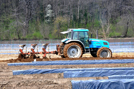 dsc_0059copia_2 dsc_0059copia_2