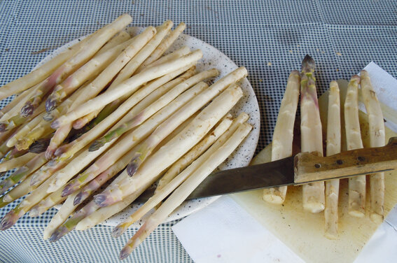 fotomacchinafotograficagigi820 fotomacchinafotograficagigi820