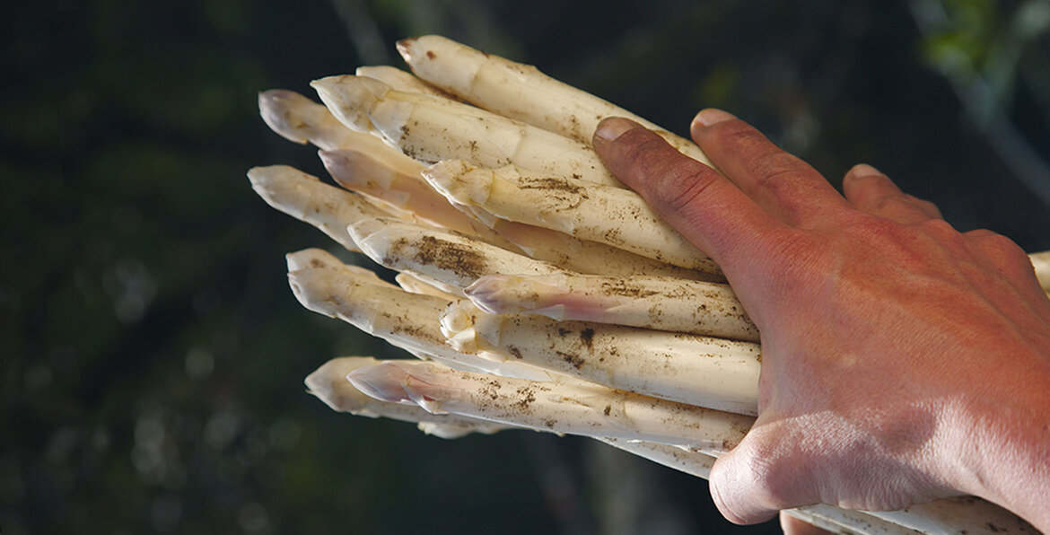 fotoscura2 fotoscura2