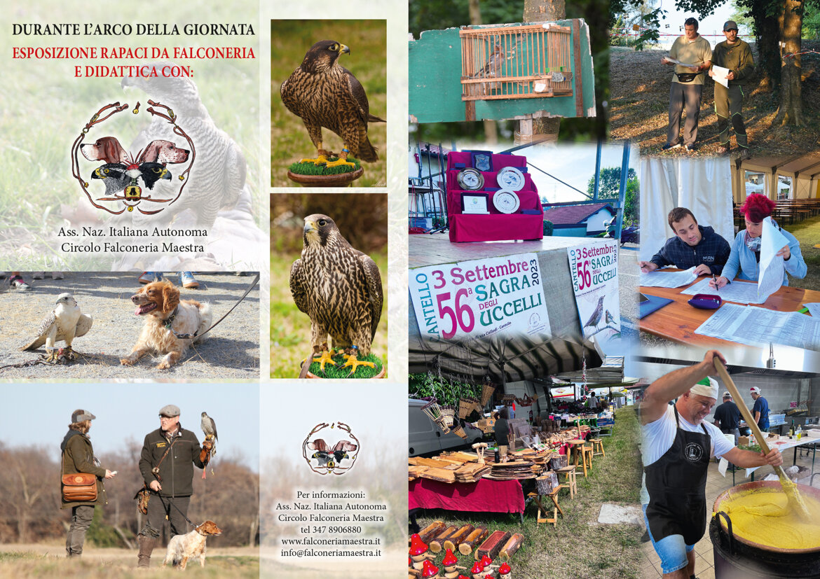 1d159c54-ad6a-4567-ba12-525d48936419 1d159c54-ad6a-4567-ba12-525d48936419