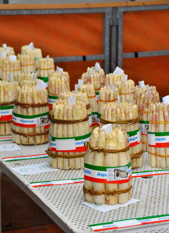 dsc_0042copia-1 dsc_0042copia-1