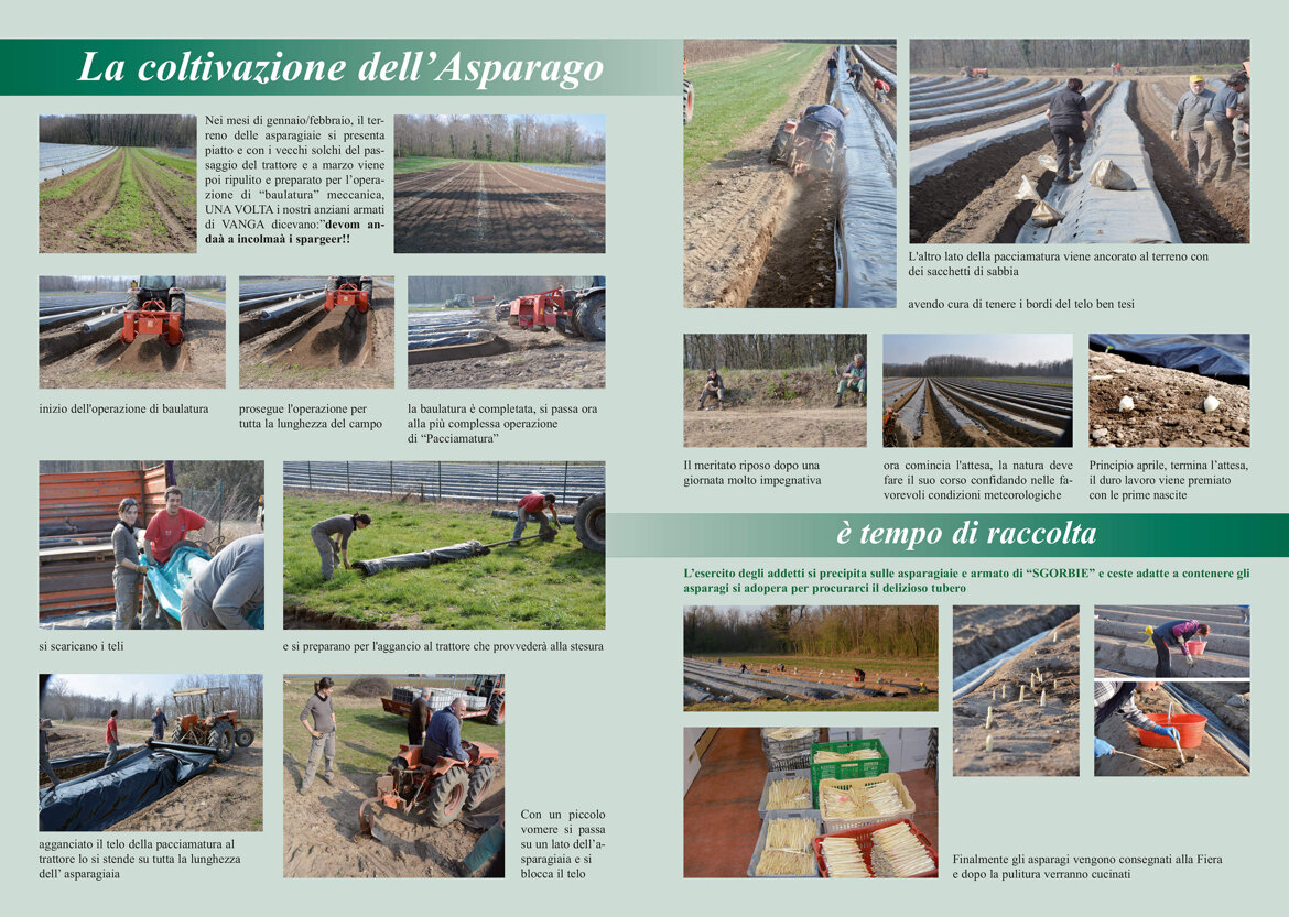 8e218b48-ac5c-4ef0-9eda-76e1cd54addf 8e218b48-ac5c-4ef0-9eda-76e1cd54addf