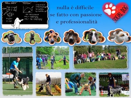 file29-12-15222948.jpeg file29-12-15222948.jpeg