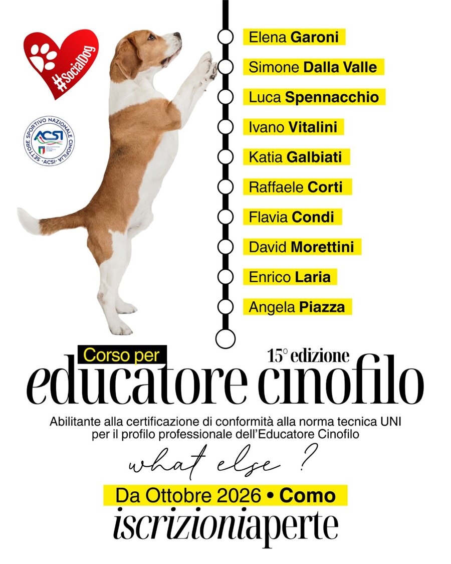 0c4fac1a-3364-4c06-921d-bf6dd4325764