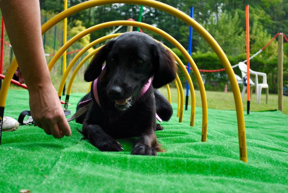 930635ef-9d59-4cb4-bc9e-4b353a0307cc.jpeg 930635ef-9d59-4cb4-bc9e-4b353a0307cc.jpeg