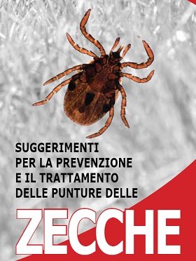 zecche