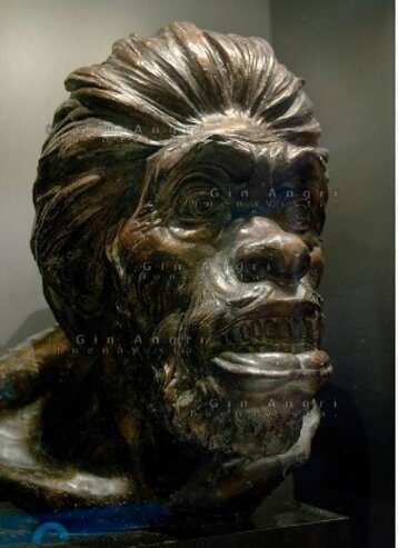 5b010436-a526-43c3-b48d-76288b43655f