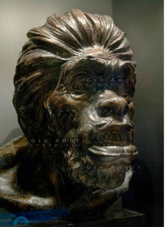 66b56522-b709-475f-99b2-9c93c5773b92