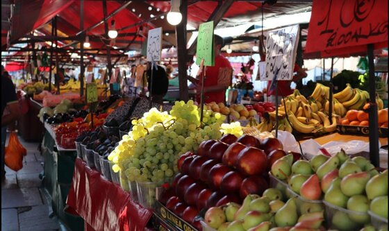 4b407b05-80f0-48ca-a838-0d8f7d34a74a 4b407b05-80f0-48ca-a838-0d8f7d34a74a