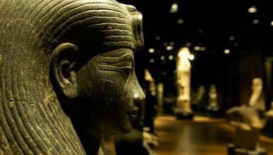 0faf1b48-942a-4b5e-a0ec-dff7e6a8332a