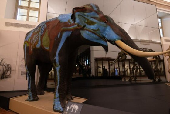 a8fbebcc-044e-4552-970b-7f1644248653