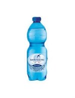 sbenedetto-acqua-frizzante-cl50