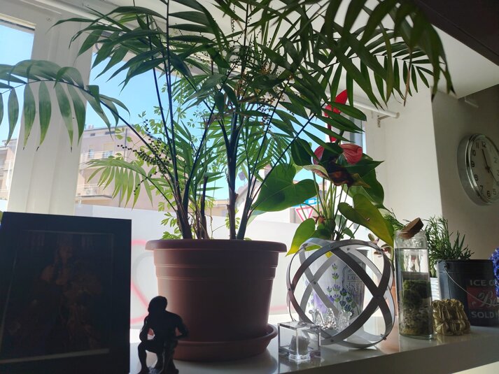 whatsapp image 2026-04-09 at 12.57.10.jpeg