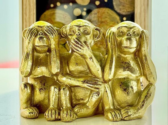 whatsapp ima7ge 2026-02-20 at 13.07.54.jpeg