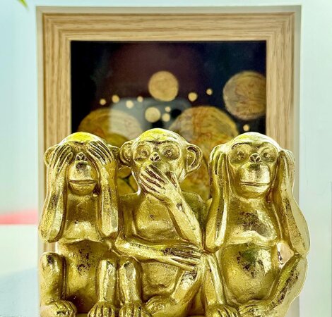 whatsapp image 2026-02-12 at 00.30.20i.jpeg