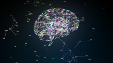 whatsapp image 2026-04-14 at 13.58.33.jpeg