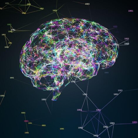 whatsapp image 2026-02-12 at 00.30.20i.jpeg