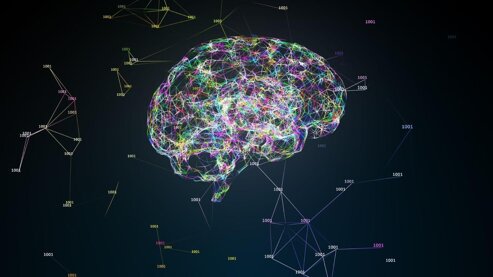 whatsapp image 2026-04-14 at 13.58.33.jpeg