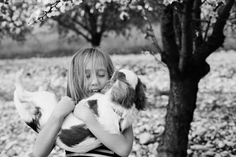 sevens pet care_2.jpeg