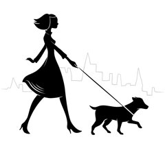 image dx sevens petcare.jpeg