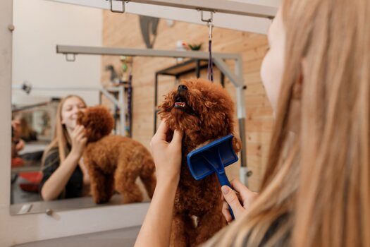 a0_home page professional.jpeg