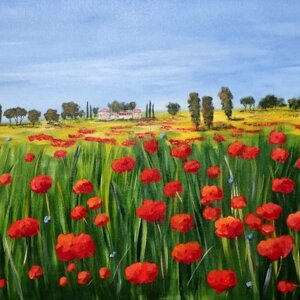 campo%20fiorito