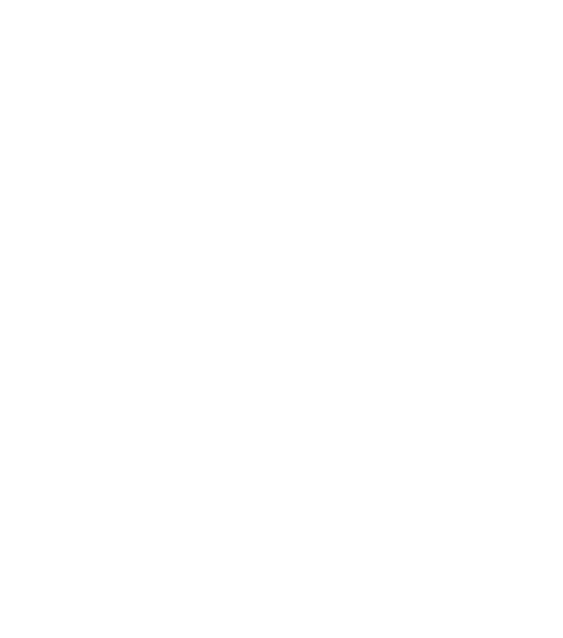 solo logo brunelleschi store per sito