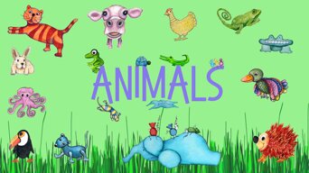 animals copia.jpeg