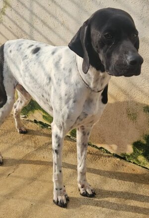 pxb_2135026_64ea2d82d9a1bcee82791ceebf3e4f37