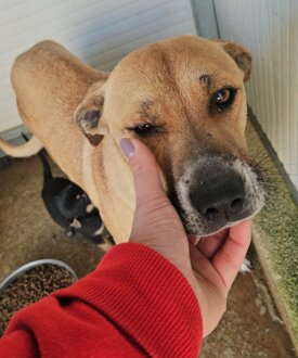 c12f5f2b-15b4-4157-95ee-3c1859cfcb3a