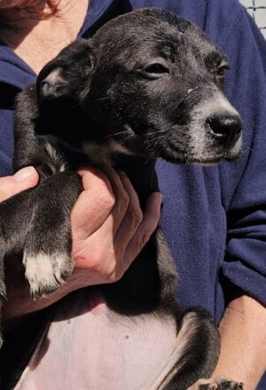 14aa21b9-6794-4e38-93fa-4090a5935905.jpeg 14aa21b9-6794-4e38-93fa-4090a5935905.jpeg