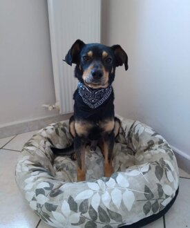 fc1cb0d7-a4a6-46d1-9786-98ad45b6eae6