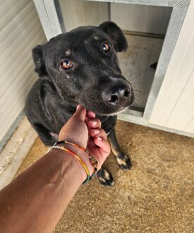 c9f613af-23fc-4fcc-a5a4-b50db0162178