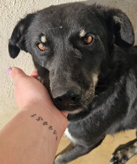 cdae7516-d1c1-499e-8621-1707c89fd671