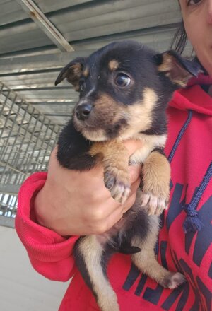 pxb_2135026_64ea2d82d9a1bcee82791ceebf3e4f37