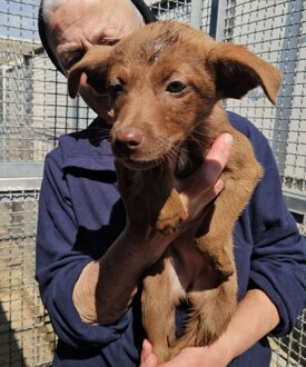 eb1faa2f-878e-451a-8fb5-11ac9818211d