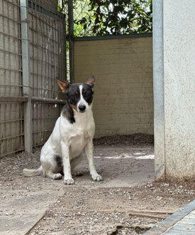 1f219e60-6b5a-48f1-ac50-aff0552e459c