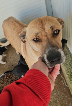 pxb_2135026_64ea2d82d9a1bcee82791ceebf3e4f37