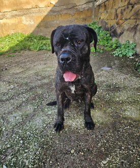 72ae263b-6ea2-4c2c-8330-1610198857af