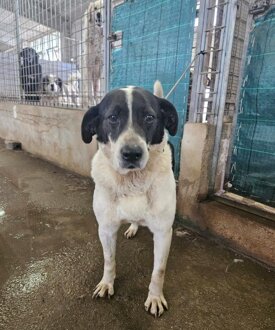 1740774043thumb-2025-02-28-082042-img-20250225-wa0104