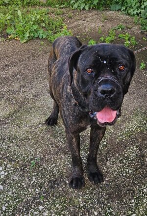 pxb_2135026_64ea2d82d9a1bcee82791ceebf3e4f37