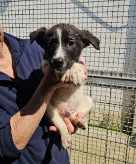 7f69d6f5-9fcf-4d34-931a-418401cdc14b