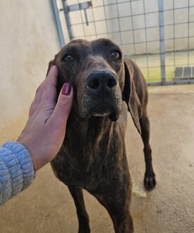 21120af2-56c5-4593-8103-1463cf5db746