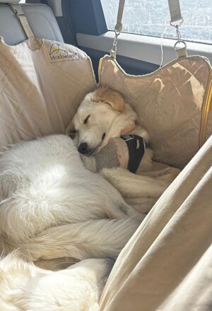 pxb_2135026_64ea2d82d9a1bcee82791ceebf3e4f37