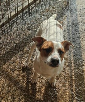 1769028258thumb-2026-01-21-084418-301486cd-d4f2-470e-984c-521d1b6045f0